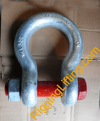 Anchor Shackle Bolt Type Forged Alloy