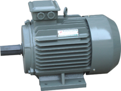 Three Phase Induction Motors