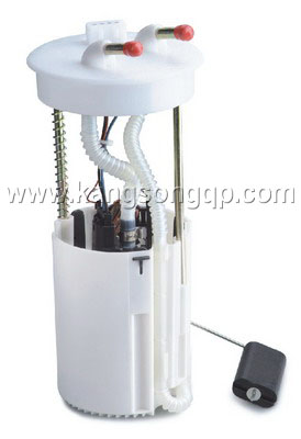 Electric fuel pump sonhuajiang