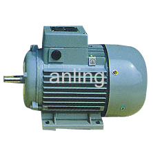 Three-phase Induction Motor