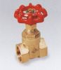 Brass Gate Valve