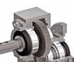 Worm Gear