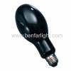 Black Light Mercury Lamp