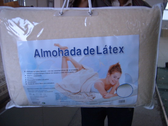 Latex Standard Pillow