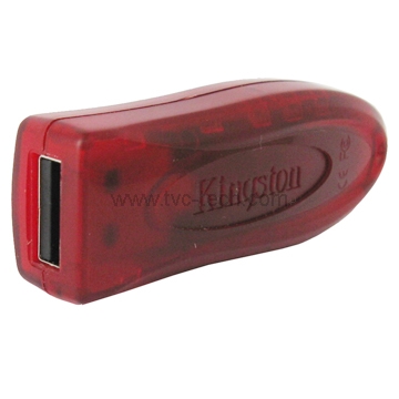 Kingston USB Fish Disk