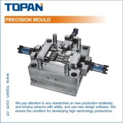 Precision Mould