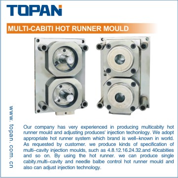 MULTI-CAVITY HOT RUNNER MOULD