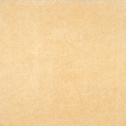 polished floor tiles