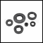 auto oil seal