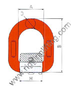 Forged D-Ring With Spring Bracket