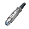 XLR Connector