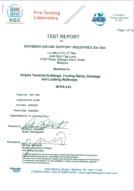 NGC report