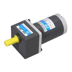 DC Gear Motor