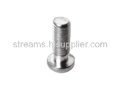 Core Screw