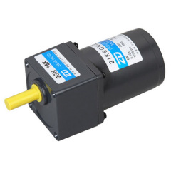 AC Induction Reduction Motor