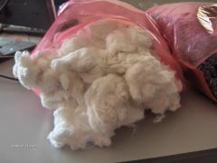 Cotton Waste