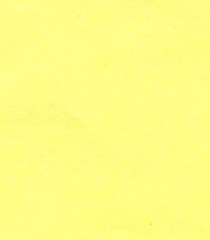 Yellow christmas MG tissue paper
