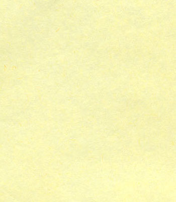 Light yellow MG Tissue Paper