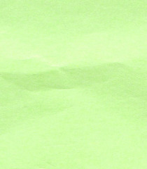 Light Green MG Tissue Paper