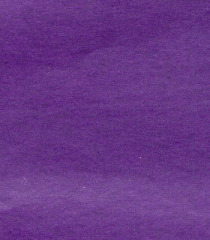 Violet MG tissue paper