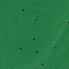Green Sequin Tissue Paper