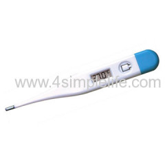 Digital Mini Thermometer