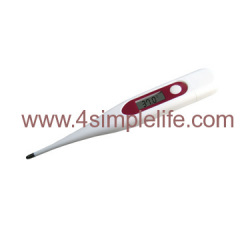 Thermometer Digital