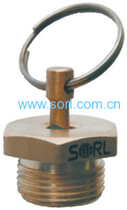 Manual Drain Valve