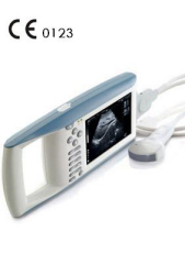 Palmsize Ultrasound for VET