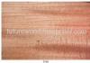 Dyed Veneer