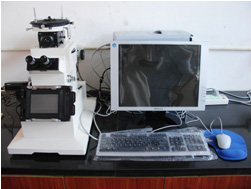 metallographic microscope