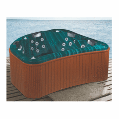 hot tubs spas