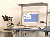 Metallurgical analyzer