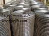 Welded Wire Mesh