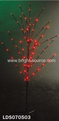 Lighting branch