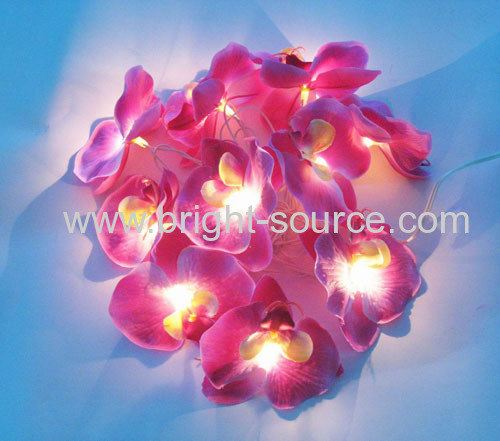 RICE ORCHID LIGHT CHAIN