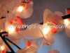 Butterfly Orchid Light