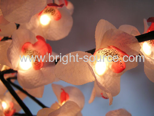 SMALL BUTTERFLY ORCHID LIGHT BRANCH