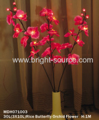 RICE Butterfly ORCHID LIGHT