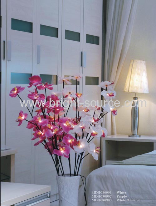 Butterfly Orchid Light