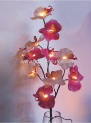 Butterfly Orchid Light