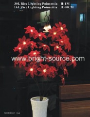 poinsettia light