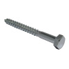 Coach Screw Hex Head