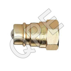 Brass Quick Coupling