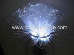 FIBRE OPTICAL LIGHT