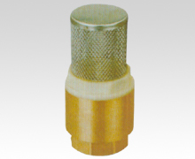Check Valve Of Stainless Steel