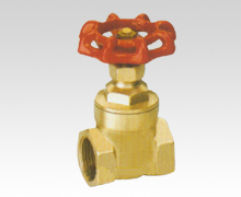 Gate Valve