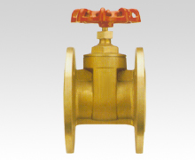 Project special-purpose gate valve