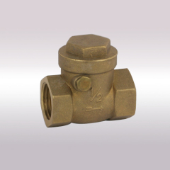 sanitary welded check valves