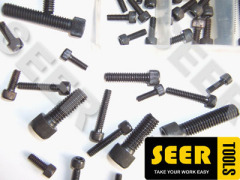 106pcs Allen Head Cap Screw Set